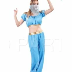 JD Party Adult Arabian Princess Costume