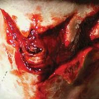 FX Tinsley FX Transers / Sore Throat Halloween Costumes, Accessories, Makeup