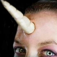 FX Tinsley FX Transers / Unihorn