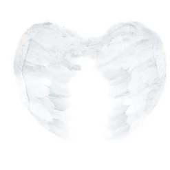 JD Party Novelties Angel Wings - Small