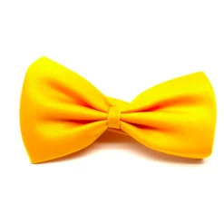JD Party Ties & Bow Ties Bow Tie - Coloured