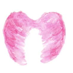 JD Party Novelties Angel Wings - Small