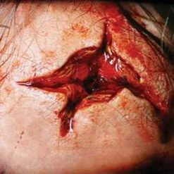 FX Tinsley FX Transers / Point Blank Halloween Costumes, Accessories, Makeup