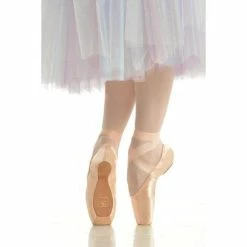 Gaynor Minden Pointe Shoes - Classic - Box #3 Dancewear