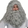 Sweidas Book Week Costumes Deluxe Wizard Wig & Beard