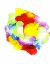 JD Party HawaiiaShelln Bra Hosiery / Underwear