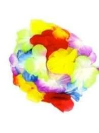 Top 10 โจ JD Party HawaiiaShelln Bra Hosiery / Underwear ๐ 2 JD Party HawaiiaShelln Bra Hosiery / Underwear