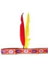 JD Party Indian Headband