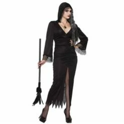 Forum Novelties Sorceress Witch Dress With Hood Fancy Dress Costumes