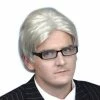 Carnival Products Wig - Grey Current Affairs Host