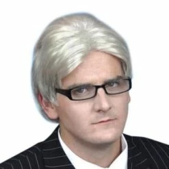 Carnival Products Wig - Grey Current Affairs Host