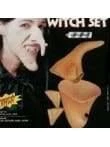 Carnival Products Witch Nose & Chin