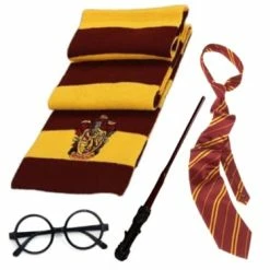Sweidas Fancy Dress Costumes Wizard Accessory Set